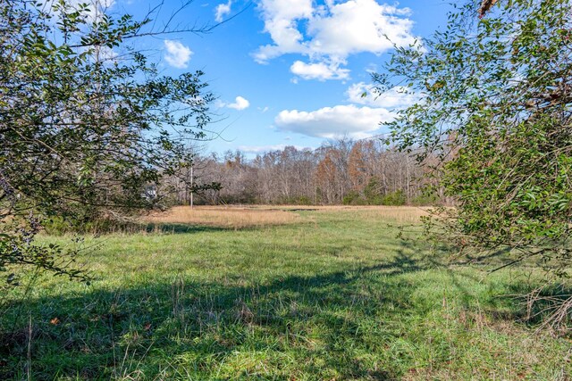 0 Smithson Rd, College Grove, TN 37046 - photo 6