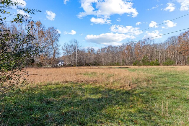 0 Smithson Rd, College Grove, TN 37046 - photo 17