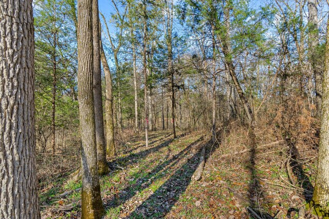 0 Smithson Rd, College Grove, TN 37046 - photo 23