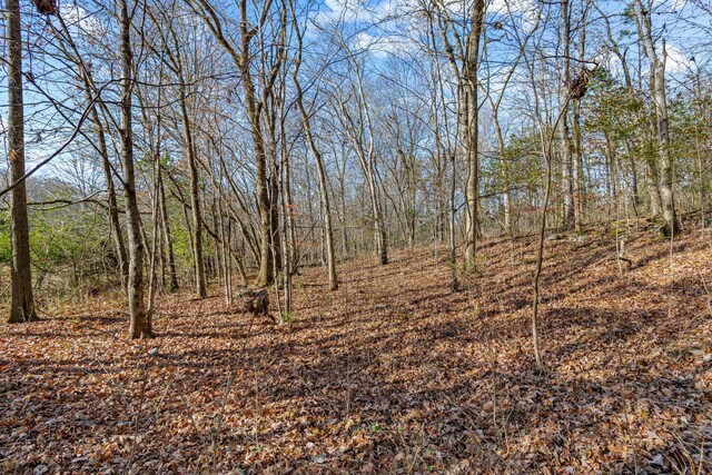 0 Smithson Rd, College Grove, TN 37046 - photo 21