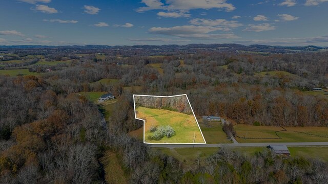 0 Smithson Rd, College Grove, TN 37046 - photo 3