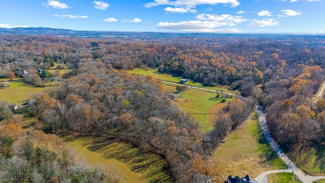 0 Smithson Rd, College Grove, TN 37046 - photo 10