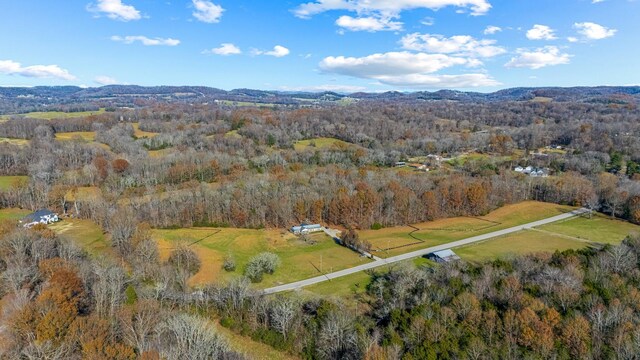 0 Smithson Rd, College Grove, TN 37046 - photo 13