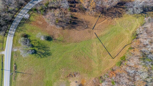 0 Smithson Rd, College Grove, TN 37046 - photo 7