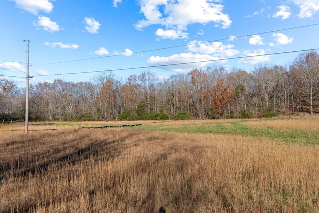 0 Smithson Rd, College Grove, TN 37046 - photo 18