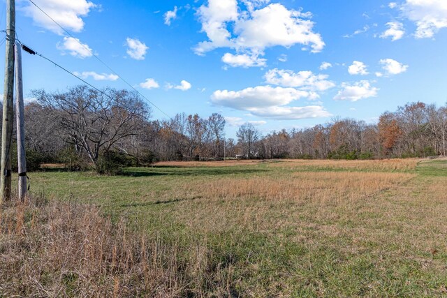 0 Smithson Rd, College Grove, TN 37046 - photo 15