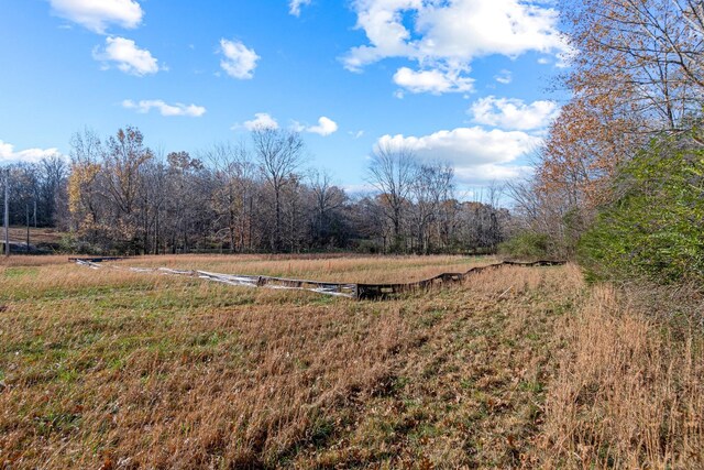 0 Smithson Rd, College Grove, TN 37046 - photo 20