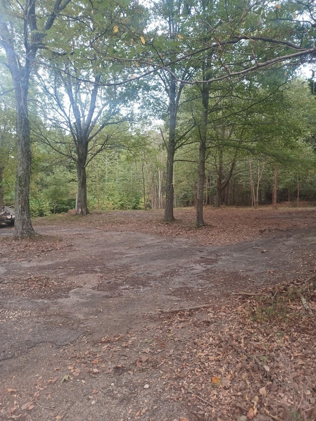 567 Rawls Rd, Paris, TN 38242