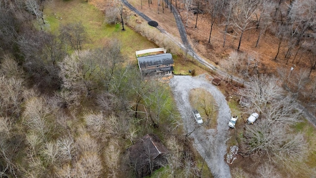 3388 Budds Creek Rd, Palmyra, TN 37142 - aerial view