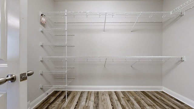 1012 Michaela Cir, Clarksville, TN 37043 - walk in closet with wood finished floors