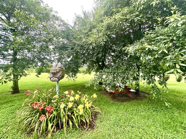 181 Bynum Rd, Bell Buckle, TN 37020 - photo 87