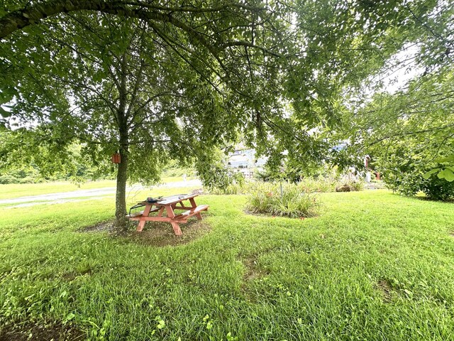 181 Bynum Rd, Bell Buckle, TN 37020 - photo 93