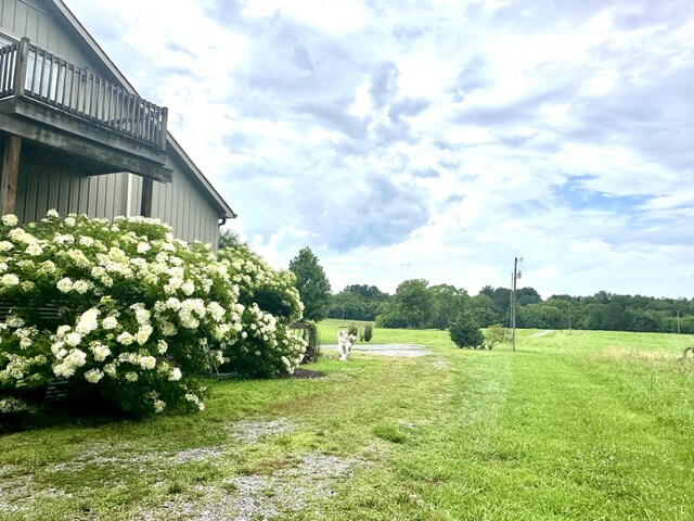 181 Bynum Rd, Bell Buckle, TN 37020 - photo 69
