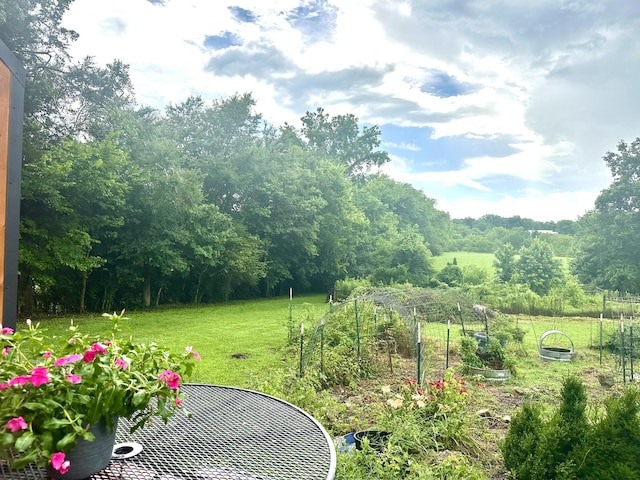 181 Bynum Rd, Bell Buckle, TN 37020 - photo 66