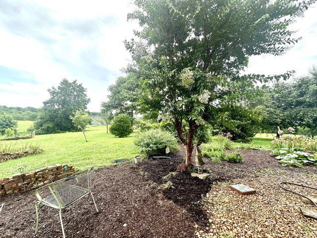 181 Bynum Rd, Bell Buckle, TN 37020 - photo 86