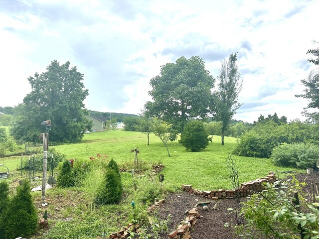 181 Bynum Rd, Bell Buckle, TN 37020 - photo 65