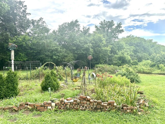 181 Bynum Rd, Bell Buckle, TN 37020 - photo 85