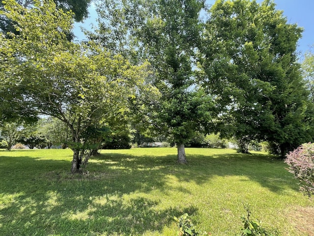 0 Flower Lane Dr, Estill Springs, TN 37330 - photo 2