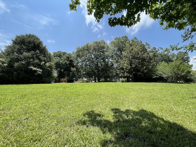 0 Flower Lane Dr, Estill Springs, TN 37330 - photo 1