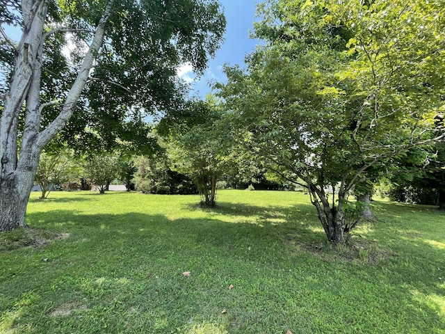 0 Flower Lane Dr, Estill Springs, TN 37330 - photo 3