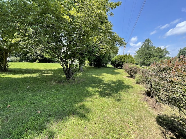 0 Flower Lane Dr, Estill Springs, TN 37330 - photo 4