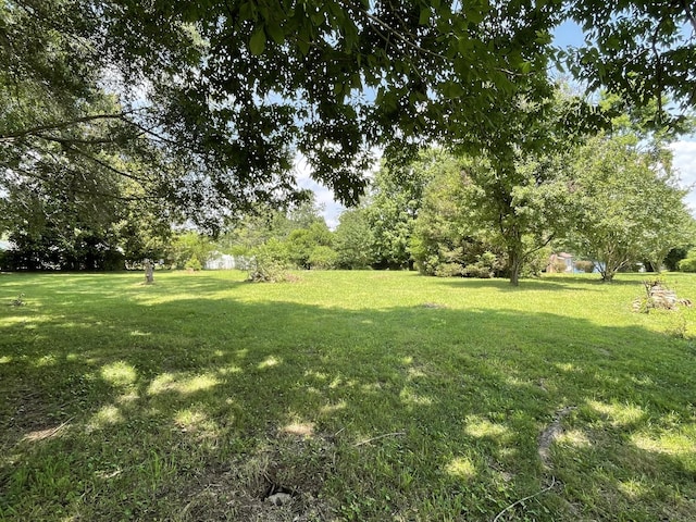 0 Flower Lane Dr, Estill Springs, TN 37330 - photo 6