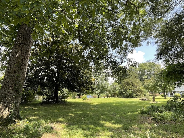 0 Flower Lane Dr, Estill Springs, TN 37330 - photo 5