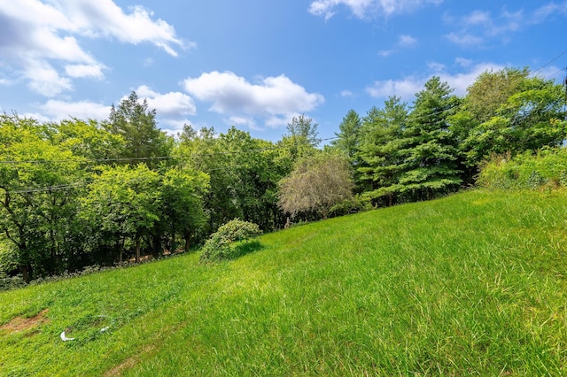 200 Stonewall Hwy, Carthage, TN 37030 - photo 24