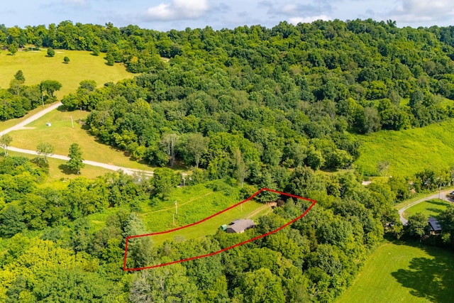 200 Stonewall Hwy, Carthage, TN 37030 - photo 33