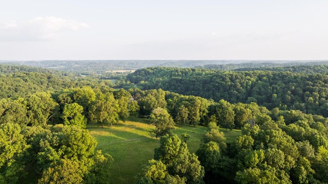 5584 Wilkins Branch Rd, Franklin, TN 37064 - photo 6