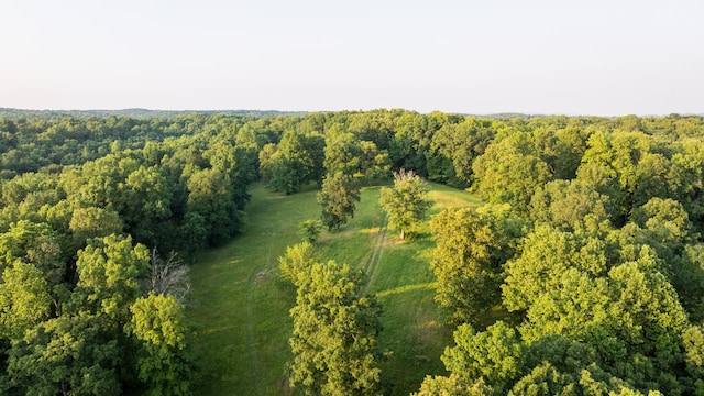 5584 Wilkins Branch Rd, Franklin, TN 37064 - photo 51