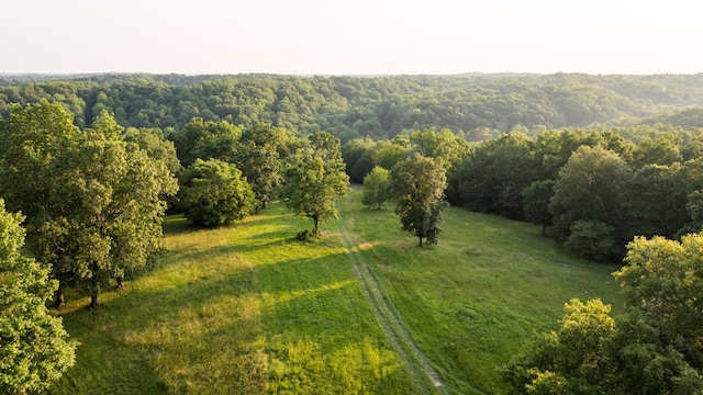 5584 Wilkins Branch Rd, Franklin, TN 37064 - photo 7