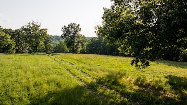 5584 Wilkins Branch Rd, Franklin, TN 37064 - photo 12