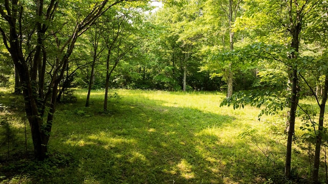 5584 Wilkins Branch Rd, Franklin, TN 37064 - photo 54