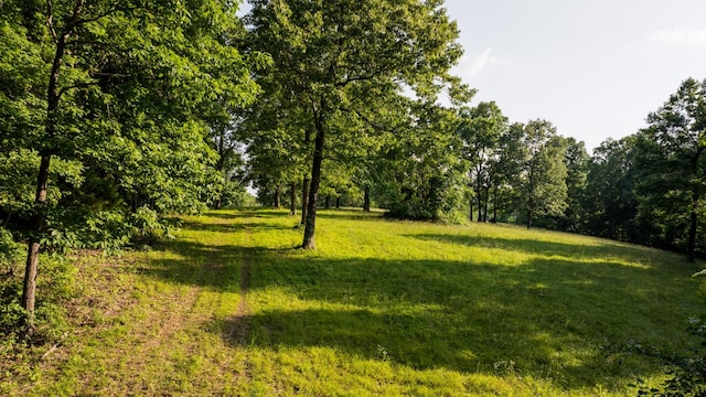 5584 Wilkins Branch Rd, Franklin, TN 37064 - photo 49