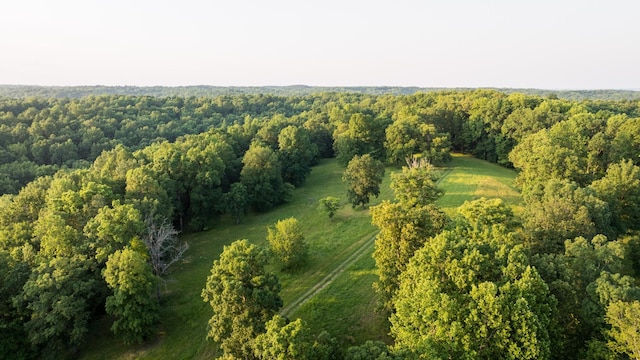 5584 Wilkins Branch Rd, Franklin, TN 37064 - photo 53