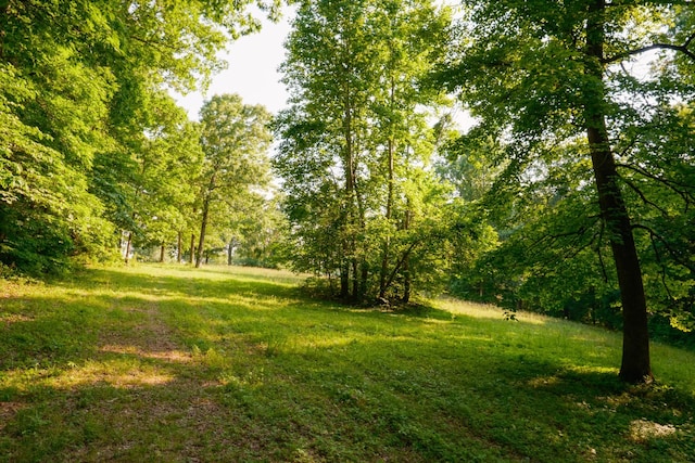 5584 Wilkins Branch Rd, Franklin, TN 37064 - photo 44