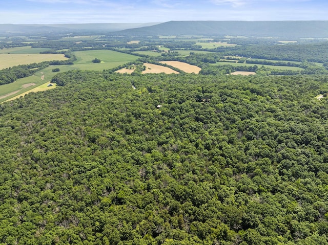 0 Cedar Mountain Rd, Decherd, TN 37324