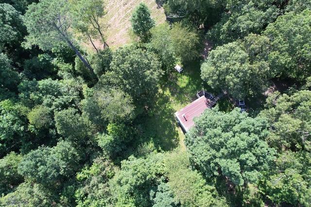 170 Webb Rd, Summertown, TN 38483 - aerial view of property and surrounding area with a forest