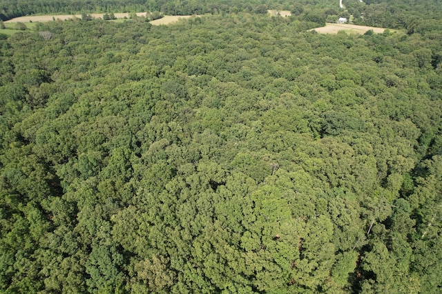 170 Webb Rd, Summertown, TN 38483 - aerial view of property and surrounding area with a heavily wooded area