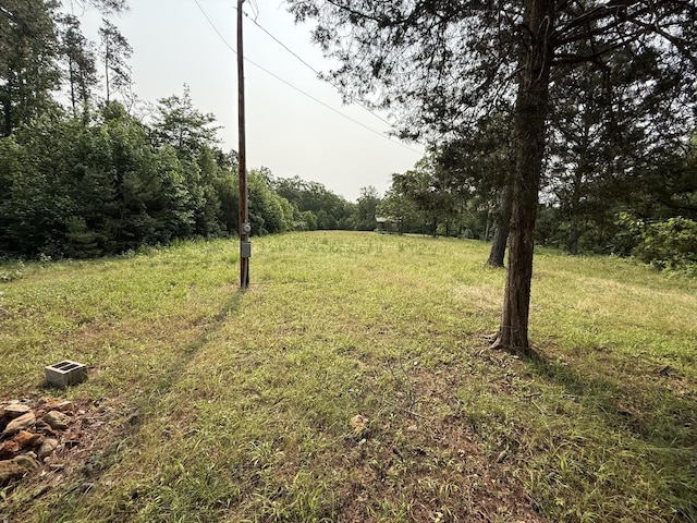 170 Webb Rd, Summertown, TN 38483 - view of yard