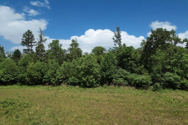170 Webb Rd, Summertown, TN 38483 - view of tree filled area