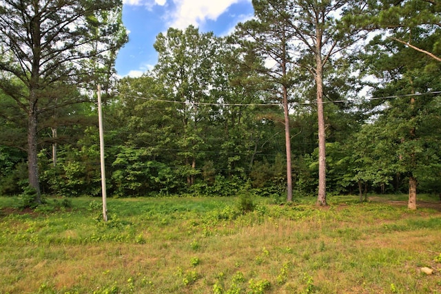 170 Webb Rd, Summertown, TN 38483 - view of woods