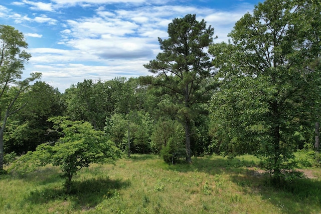 170 Webb Rd, Summertown, TN 38483 - view of wooded area