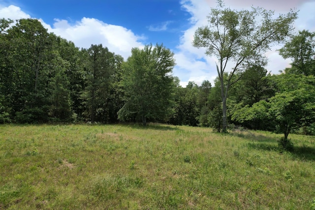 170 Webb Rd, Summertown, TN 38483 - view of woods