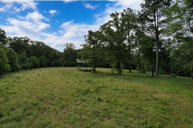 170 Webb Rd, Summertown, TN 38483 - view of yard featuring a view of trees