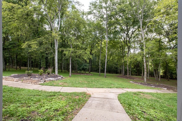 2 Stirlingshire Ct, Hendersonville, TN 37075 - photo 44