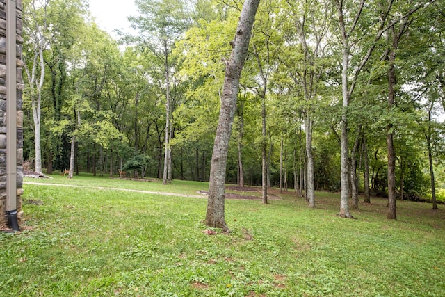 2 Stirlingshire Ct, Hendersonville, TN 37075 - photo 43