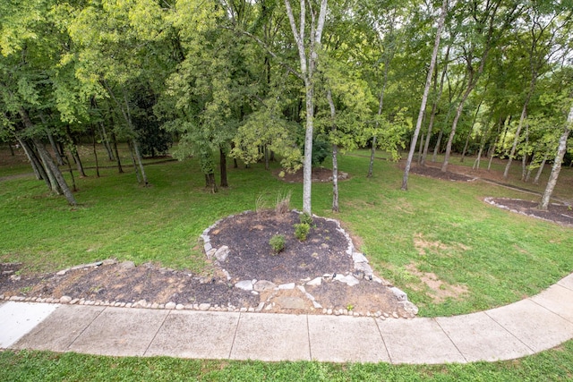 2 Stirlingshire Ct, Hendersonville, TN 37075 - photo 51