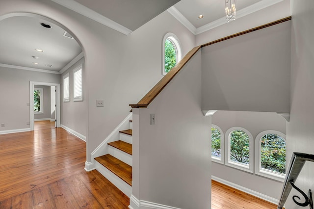 801 S Wilson Blvd, Nashville, TN 37215 - photo 47